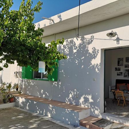 Maison De Village Au Calme - Alonia Village House Psinthos 외부 사진