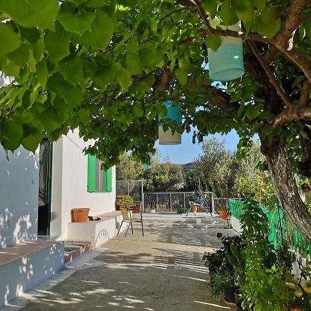Maison De Village Au Calme - Alonia Village House Psinthos 외부 사진