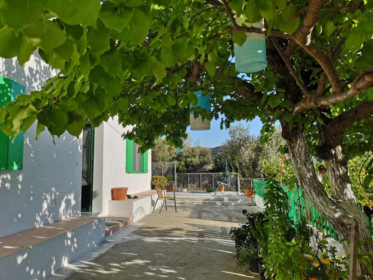 Maison De Village Au Calme - Alonia Village House Psinthos 외부 사진