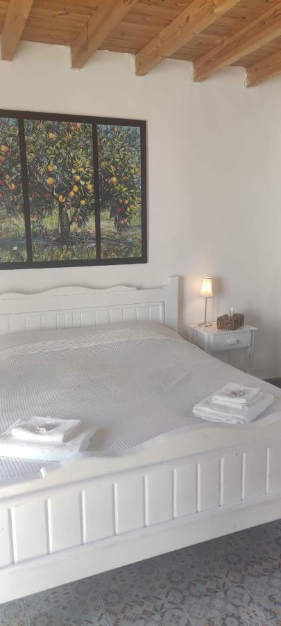 Maison De Village Au Calme - Alonia Village House Psinthos 외부 사진