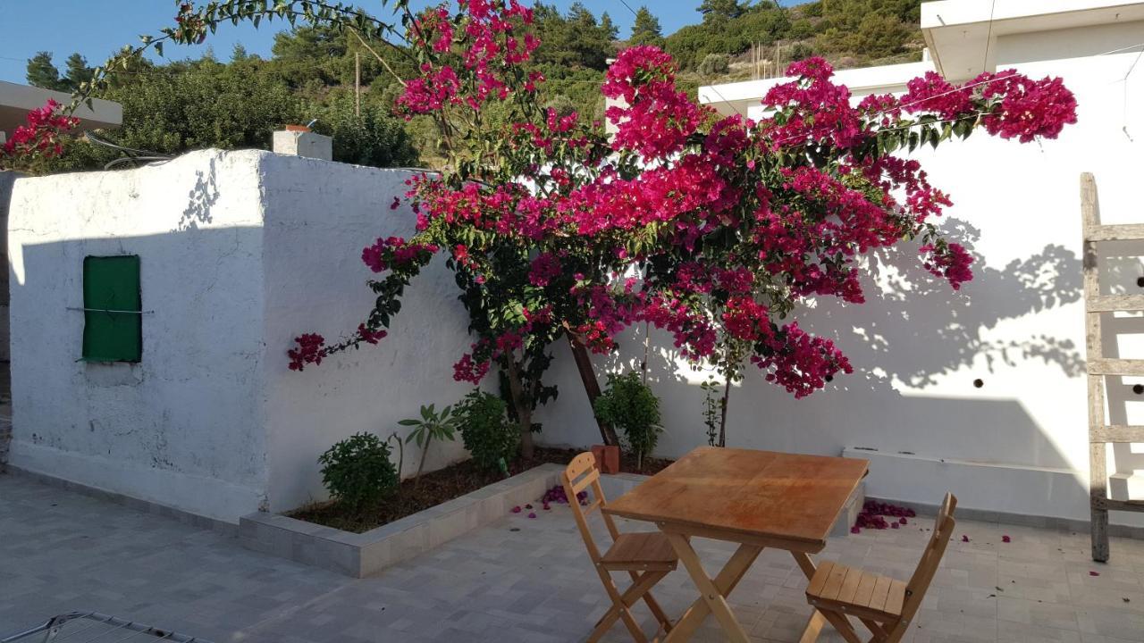 Maison De Village Au Calme - Alonia Village House Psinthos 외부 사진